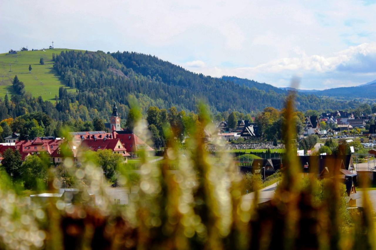 Domki W Bialce Pod Kotelnica Białka Tatrzańska Kültér fotó